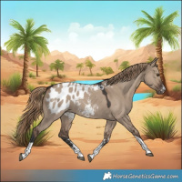 Horse Color:Liver Red Dun Sabino Tobiano Appaloosa Rabicano 