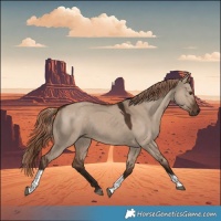 Horse Color:Liver Red Dun Tobiano