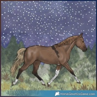 Horse Color:Liver Red Dun Tobiano