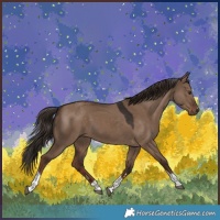 Horse Color:Liver Red Dun Tobiano 