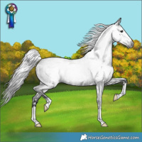 Horse Color:Gray Blue Roan Blanket