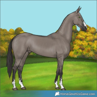 Horse Color:Smoky Grullo
