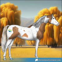 Horse Color:Chocolate Palomino Splash Tobiano 