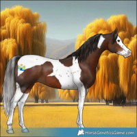 Horse Color:Liver Chestnut Splash Tobiano 