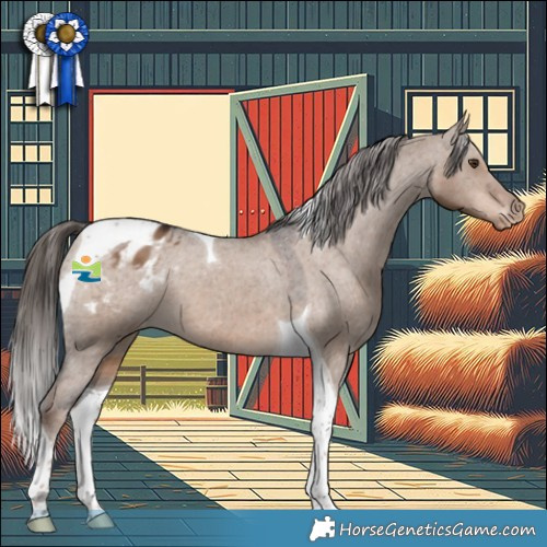 Horse Color:Liver Red Dun Tobiano Appaloosa 