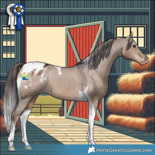 Horse Color:Liver Red Dun Tobiano Appaloosa 