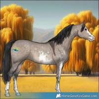 Horse Color:Brown Dun Mushroom Sabino 