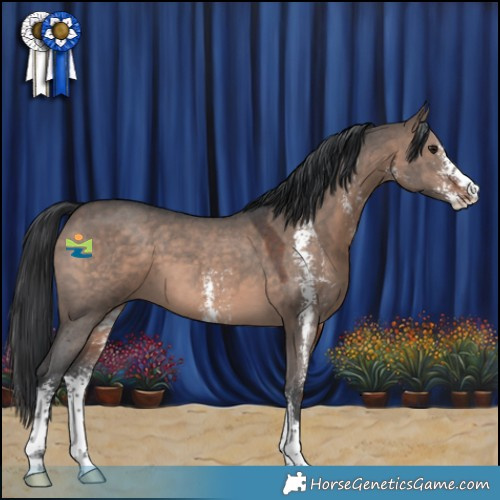 Horse Color:Brown Dun Mushroom Sabino 