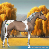 Horse Color:Liver Red Dun Mushroom Tobiano 