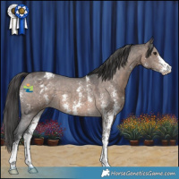 Horse Color:Brown Dun Mushroom Sabino Appaloosa 