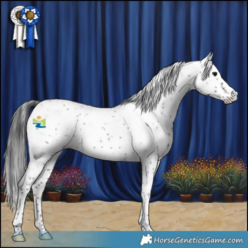 Horse Color:Grullo Mushroom Sabino 