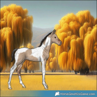 Horse Color:Liver Red Dun Tobiano 