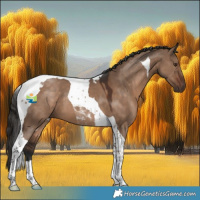 Horse Color:Liver Red Dun Tobiano 