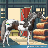 Horse Color:Gray Silver Brown Tobiano 