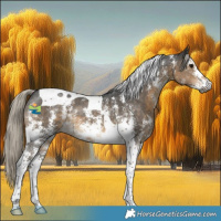 Horse Color:Gray Silver Smoky Black Sabino Tobiano 