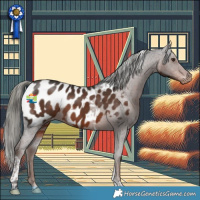 Horse Color:Liver Chestnut Mushroom Tobiano Appaloosa 