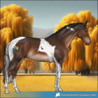 Horse Color:Liver Chestnut Tobiano 