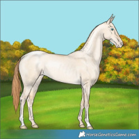 Horse Color:Buckskin Pearl Dun Snowflake Varnish Rabicano 