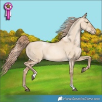 Horse Color:Red Dun Pearl 