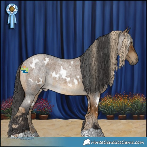 Horse Color:Brown Roan Dun Appaloosa  and White Spotted Chocolate Palomino Roan 