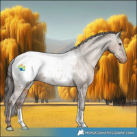 Horse Color:Liver Red Dun Appaloosa 