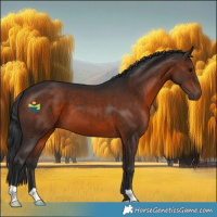 Horse Color:Brown 