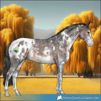 Horse Color:White Spotted Bay Sabino Appaloosa 