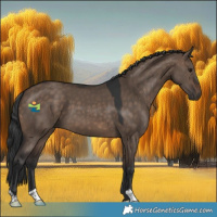 Horse Color:Brown Dun