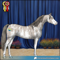 Horse Color:Liver Red Dun Mushroom Sabino 