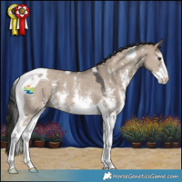 Horse Color:Liver Red Dun Sabino Tobiano 