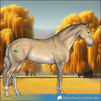 Horse Color:Chocolate Palomino Dun Mushroom 