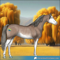 Horse Color:Liver Red Dun Mushroom Splash Rabicano 