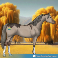 Horse Color:Liver Red Dun Mushroom 