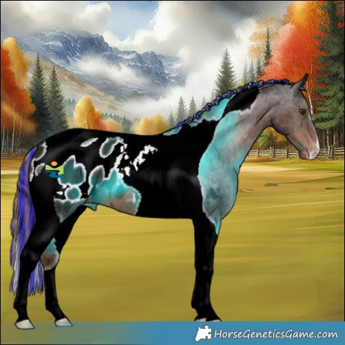 Horse Color:Painted Liver Chestnut Tobiano Appaloosa 