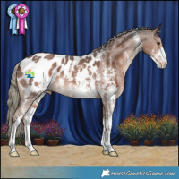 Horse Color:Liver Chestnut Mushroom Sabino Appaloosa 