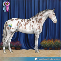 Horse Color:Liver Chestnut Mushroom Sabino Appaloosa 