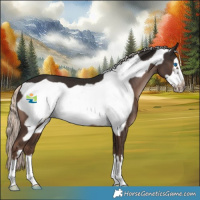 Horse Color:Liver Chestnut Mushroom Frame 