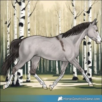 Horse Color:Platinum White Spotted Liver Red Dun 