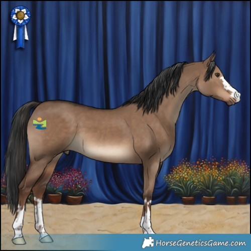 Horse Color:Liver Red Dun 