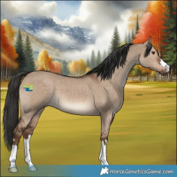Horse Color:Liver Red Dun 