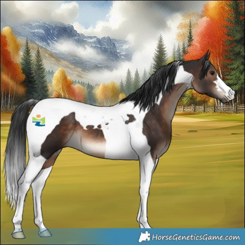 Horse Color:Brown Tobiano 