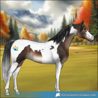 Horse Color:Brown Tobiano 