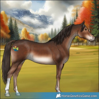 Horse Color:Liver Chestnut 