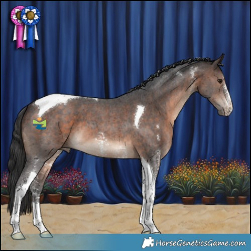 Horse Color:Brown Sabino Tobiano 