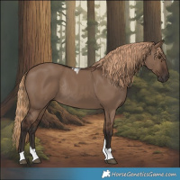 Horse Color:Liver Red Dun Tobiano Rabicano 