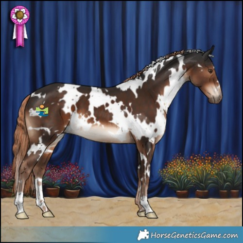 Horse Color:White Spotted Liver Chestnut 