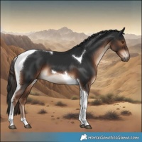 Horse Color:Liver Chestnut Tobiano 