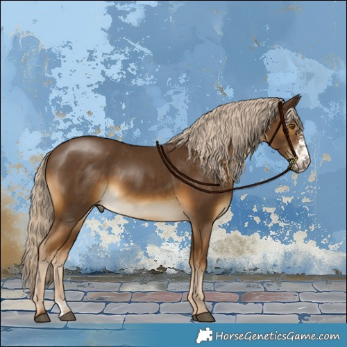 Horse Color:Chocolate Palomino Sabino Rabicano 