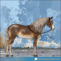 Horse Color:Chocolate Palomino Sabino Rabicano