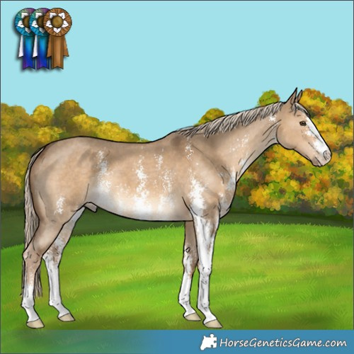 Horse Color:Chocolate Palomino Dun Sabino 